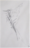 Hetty Diender, Vogeltje, potlood, 15 x 10 cm